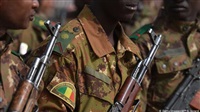12 Mali Soldiers