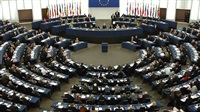 MEPs call for investigation