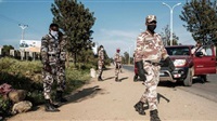 Ethiopian troops,