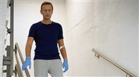 Kremlin says Navalny