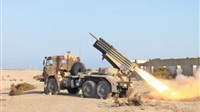 Houthi militia launch