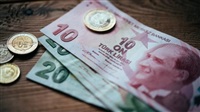 Turkish lira leads