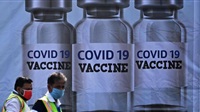 Virus Expected to