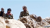 Yemeni Govt. Urges