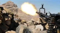 Fallen weapons reveal