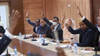 Somali government