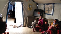Syria's Yazidis forced