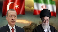 Brotherhood, Turkey
