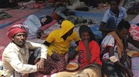 Human rights organizations
