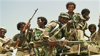 Ethiopian PM confirms