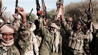 Will Nigerian army