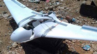 Coalition Intercepts