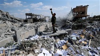 Syrian Air Force