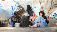 Houthi crimes: Yemen