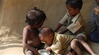 NGOs Call For $5.5