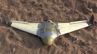 Arab Coalition Destroys