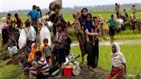 UN: Millions Face