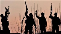 Terrorism in month