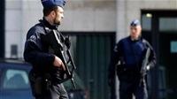 Belgian Search for