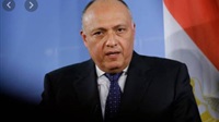 Egyptian FM Visits