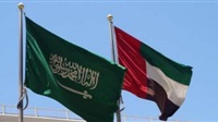 UAE Slams Houthis