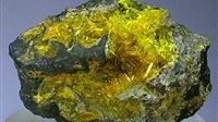 Uranium metal: Key