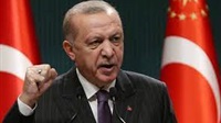 Erdoğan 'saddened'