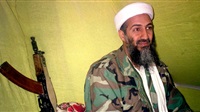 Osama bin Laden,