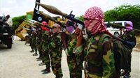 Somalia and Al-Shabaab: