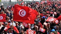 Tunisia purging its