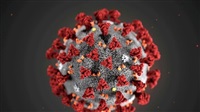 Vaccinated, Recovered