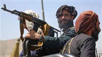 Taliban Halts Further