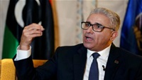 Libya's new PM plans