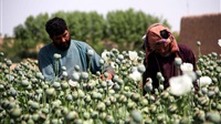 Afghan drug smugglers