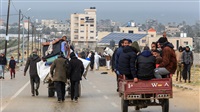 Egypt’s Efforts Regarding
